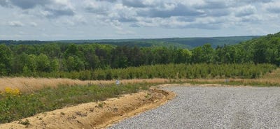 /international/us/47-pineview-road-dunlap-tn-110120687194/