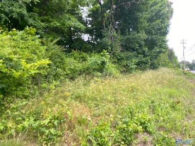 /international/us/highway-227-lot-16-guntersville-al-110107908889/
