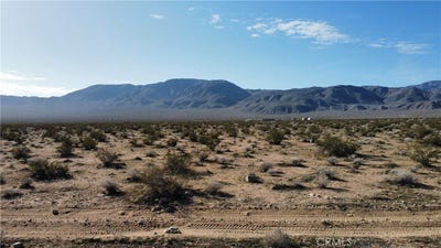 /international/us/42-old-woman-springs-road-johnson-valley-ca-110105416073/