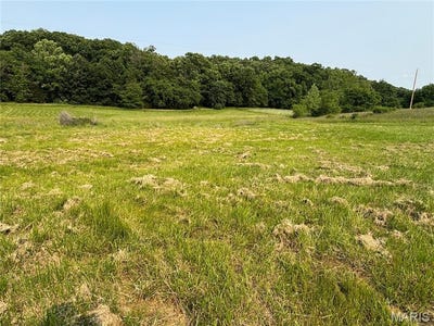/international/us/240-big-creek-valley-drive-troy-mo-110097699124/?lang=en