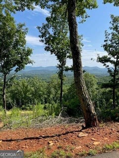 /international/us/116-highland-blairsville-ga-110101122595/?lang=zh-tw