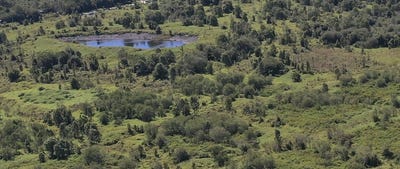 /international/us/lehuanani-st-mountain-view-hi-110106734358/