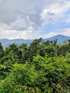 /international/us/-3-forest-drive-maggie-valley-nc-110119727716/