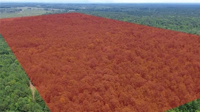 /international/us/county-rd-34-hurtsboro-al-110109371307/