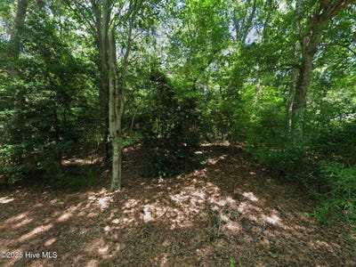 /international/us/162-beech-tree-trail-southern-shores-nc-110097219966/?lang=zh-tw
