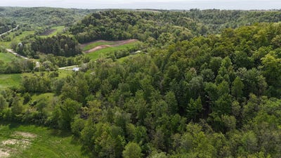 /international/us/24503-livingston-road-wilton-wi-110106719047/