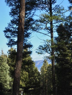 /international/us/lot-1108-valle-grande-circle-angel-fire-nm-110088891989/