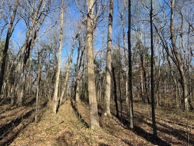 /international/us/120-s-woods-rd-lot-1-mcminnville-tn-110106917688/