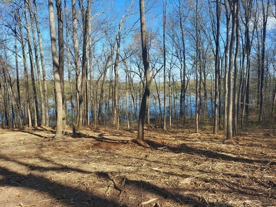 /international/us/elkhorn-springville-tn-110083983339/