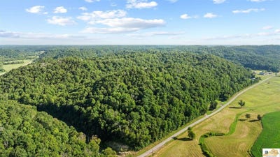 /international/us/crocus-creek-road-burkesville-ky-110099483318/