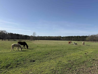 /international/us/sunshine-ln-pangburn-ar-110106560766/