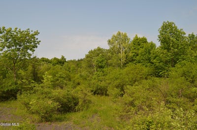 /international/us/25-barent-winne-road-selkirk-ny-110106469176/