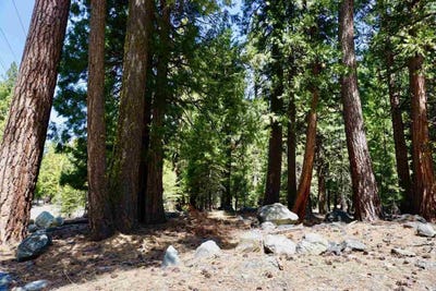 /international/us/59-yonkalla-trail-lot-100-graeagle-ca-110000597102/