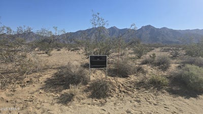 /international/us/115xx-w-riggs-road-buckeye-az-110100186849/