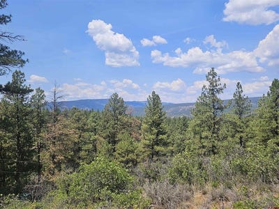 /international/us/390-evergreen-pagosa-springs-co-110101548529/?lang=zh-tw
