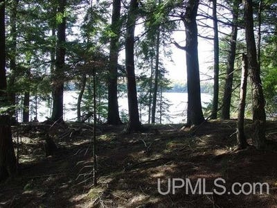 /international/us/on-channel-road-lot-1-watersmeet-mi-110107637730/
