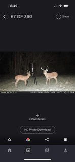 /international/us/35ac-county-rd-67-clopton-al-110100552495/