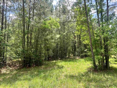 /international/us/1108-alma-lumberton-tx-110107603014/