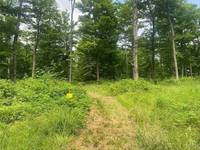 /international/us/fulmer-valley-road-wellsville-ny-110101092119/?lang=zh-tw