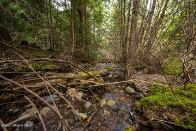 /international/us/nka-evans-creek-rd-medimont-id-110108251231/