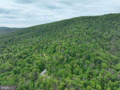 /international/us/389-2-acres-woodmont-road-great-cacapon-wv-110099803420/?lang=zh-tw