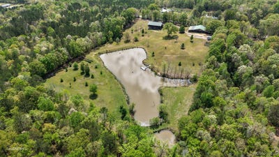 /international/us/12110-highway-10-w-pine-hill-al-110106962247/