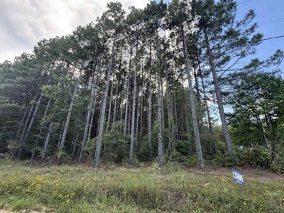 /international/us/7214-jericho-road-pine-bluff-ar-110102599784/