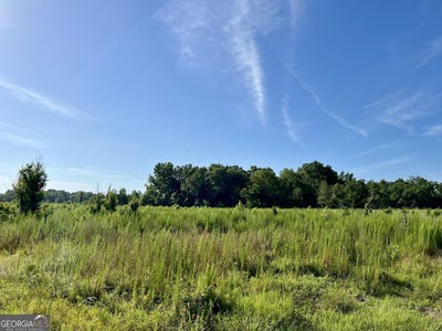 /international/us/tucker-grove-church-road-wrightsville-ga-110092681059/
