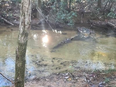 /international/us/4-ac-seven-oaks-road-defuniak-springs-fl-110097787033/?lang=en
