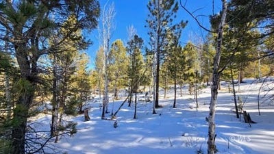 /international/us/130-utah-way-florissant-co-110097109550/