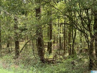 /international/us/county-road-103-woodland-al-110100477560/