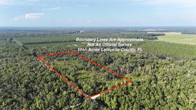 /international/us/vacant-se-gordon-hurst-road-branford-fl-110101234826/?lang=zh-cn