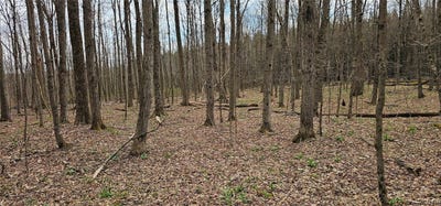 /international/us/level-green-road-berkshire-ny-110107316121/