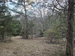 /international/us/4123-panther-creek-rd-sneedville-tn-110097514616/?lang=zh-tw