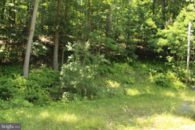 /international/us/0-nethers-sperryville-va-110092208424/?lang=zh-tw