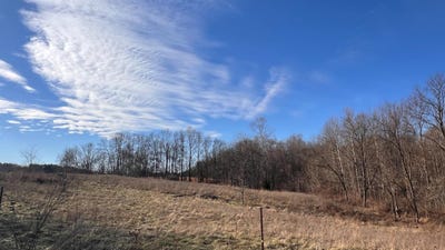 /international/us/17223-mcguire-ridge-road-laurel-in-110104851431/