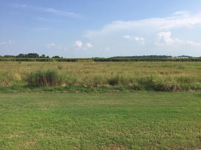 /international/us/toltec-mounds-road-lot-32-england-ar-110104510396/