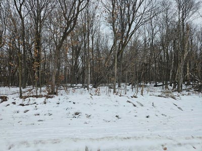 /international/us/2-1-2-avenue-ne-lot-2-block-2-saint-stephen-mn-110104817053/