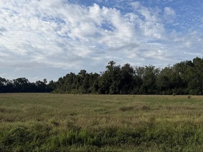 /international/us/31-82-ac-d-hodge-rd-cottonwood-al-110120158489/