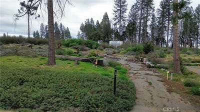 /international/us/13914-cluster-court-magalia-ca-110105527142/