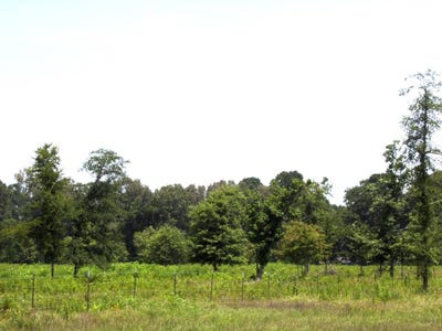 /international/us/138-little-river-183-ashdown-ar-110109180413/