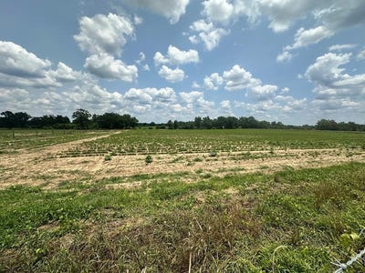 /international/us/8-acres-lot-9-j-saunders-dothan-al-110099924372/?lang=zh-cn