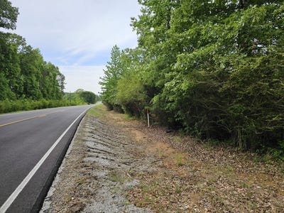 /international/us/000-state-hwy-19-detroit-al-110105201091/