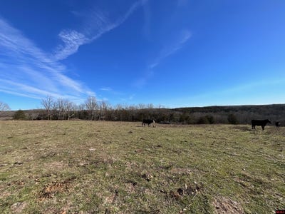 /international/us/594-cr-873-thornfield-mo-110105052206/