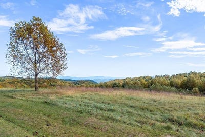 /international/us/130-continental-dr-lot-11-hillsville-va-110120549468/