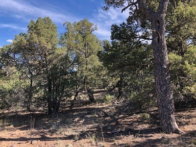/international/us/0-24-acre-portion-of-lot-70-tres-piedras-nm-110085522268/?lang=zh-cn