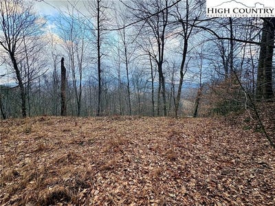/international/us/wren-cove-lane-lot-27-vilas-nc-110105319840/
