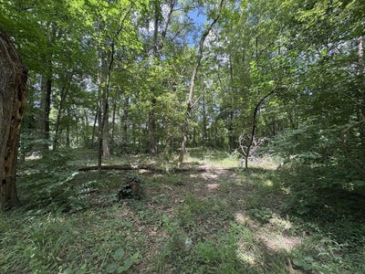 /international/us/605-chesapeake-avenue-melbourne-ky-110101011654/