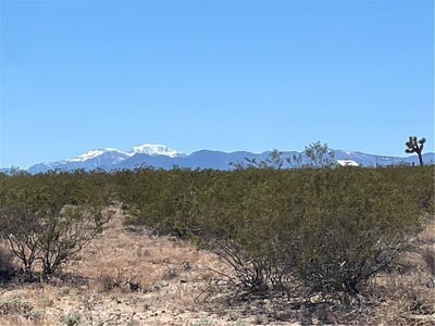 /international/us/0-polaris-avenue-joshua-tree-ca-110091803736/