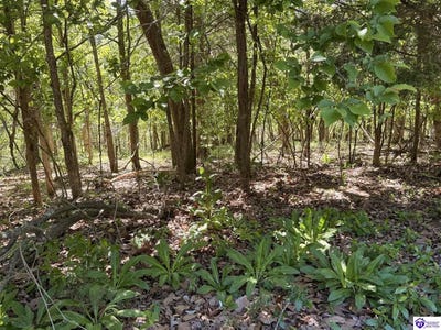 /international/us/lot-301-woodview-drive-brandenburg-ky-110107875203/